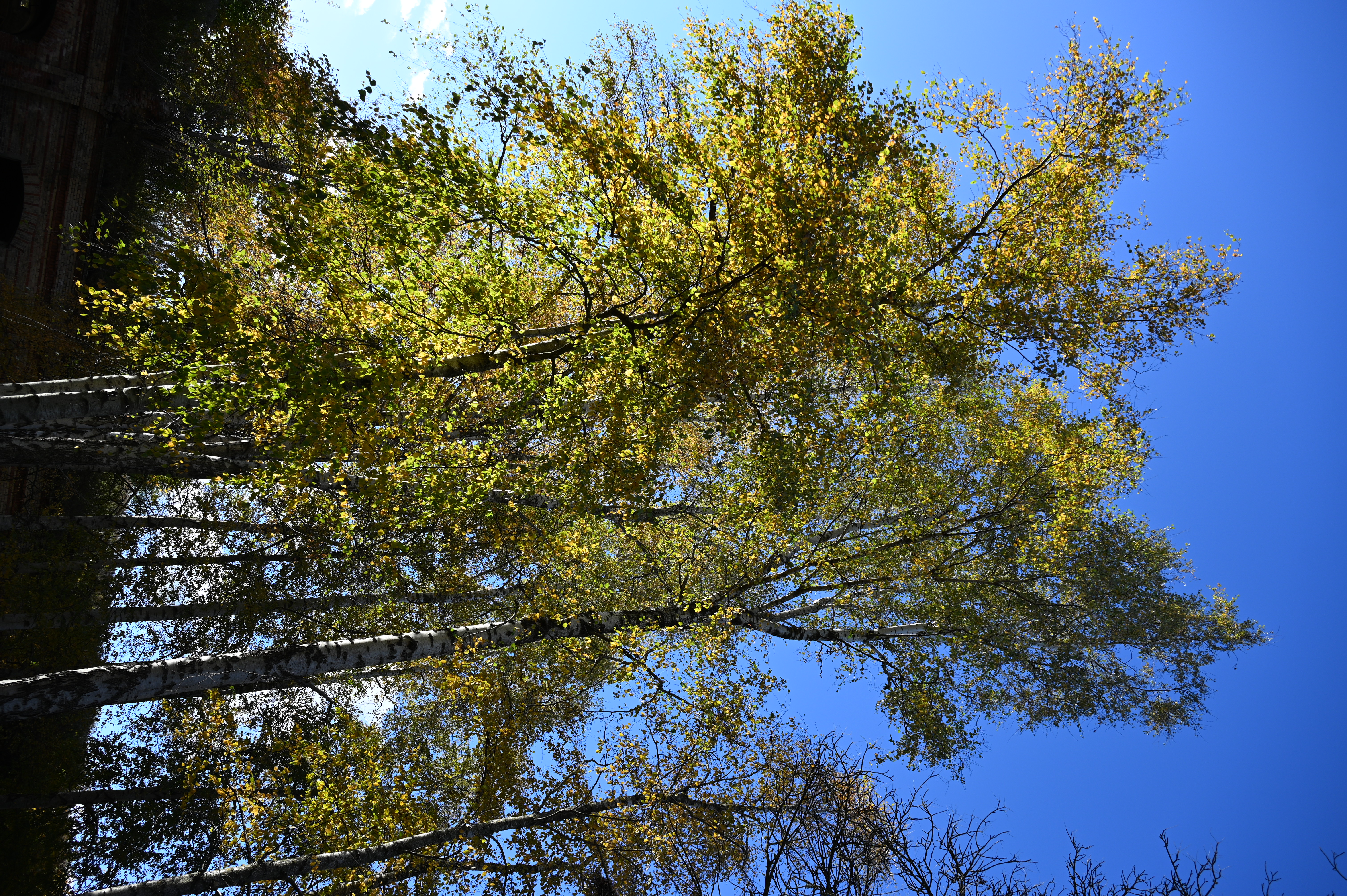 2025/10/18 - walk/DSC_0083.JPG